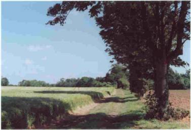 Country near Orford